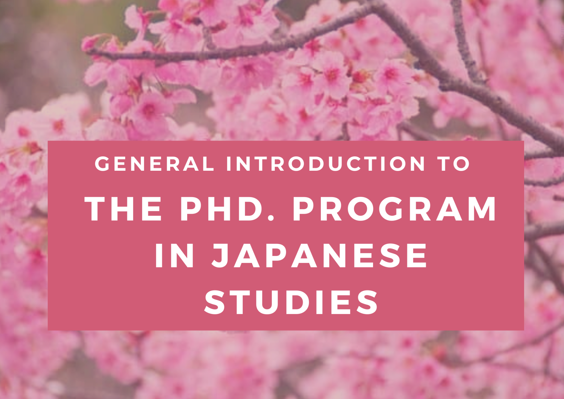 General Introduction to the Ph.D. Program in Japanese Studies